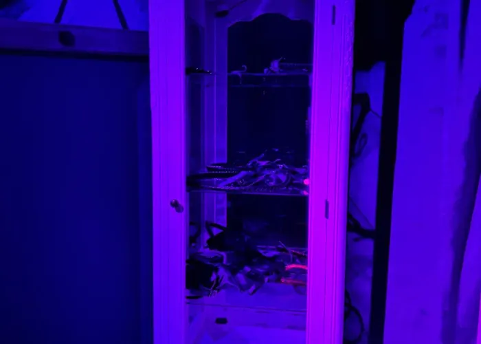 Apartmán Bdsm - Red Box - - Adults Only Těšín